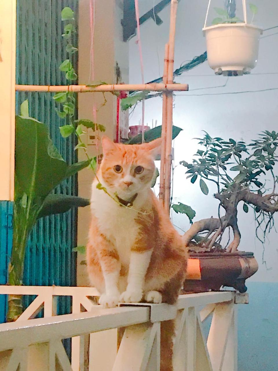 Qcub1 Homestay Ho Si Minh-város Kültér fotó
