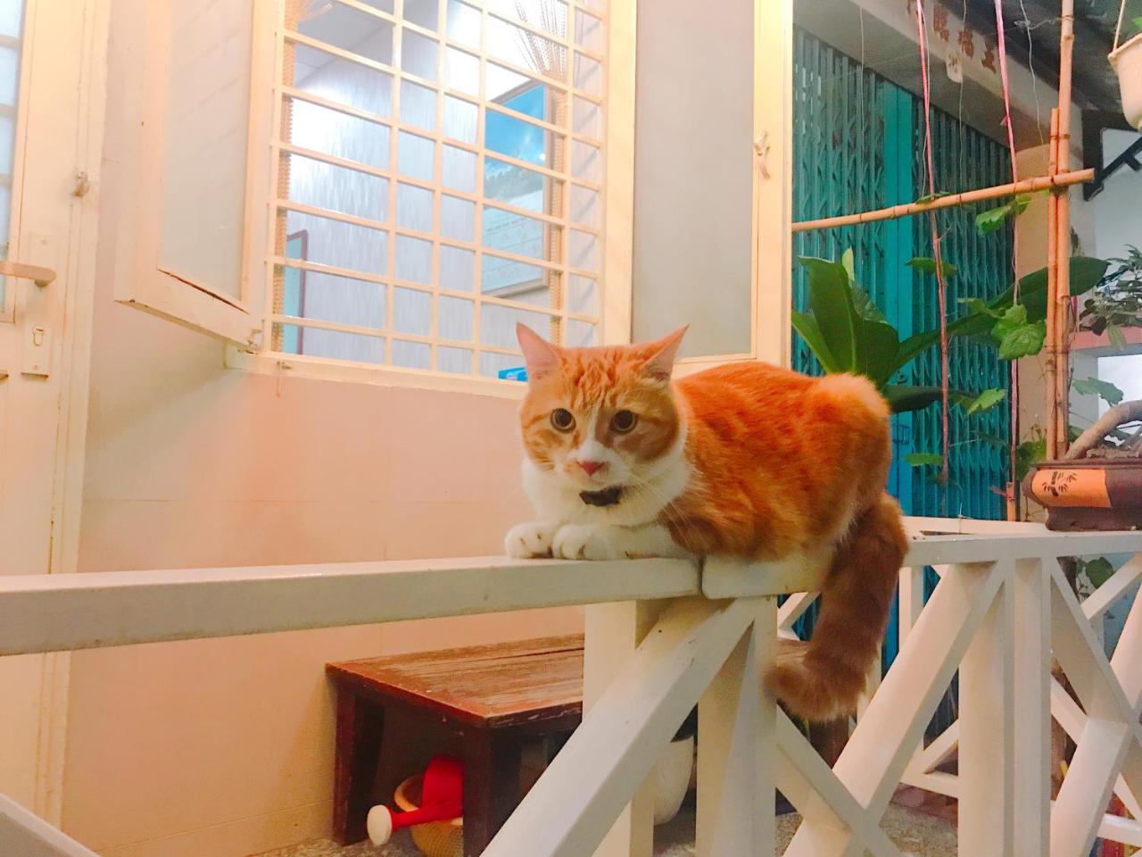 Qcub1 Homestay Ho Si Minh-város Kültér fotó